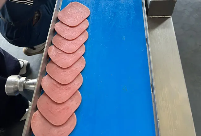 160 Fresh Meat Slicer (1)