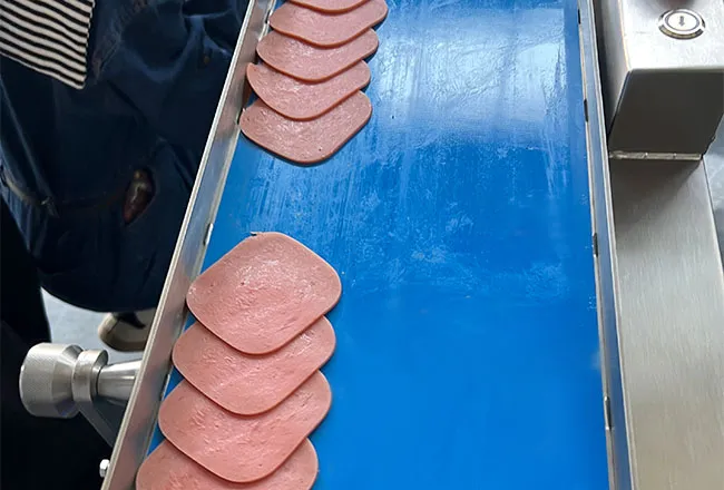 160 Fresh Meat Slicer (4)