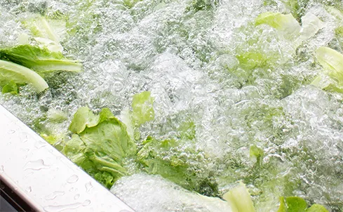 Línea de procesamiento de verduras frescas Vortex.