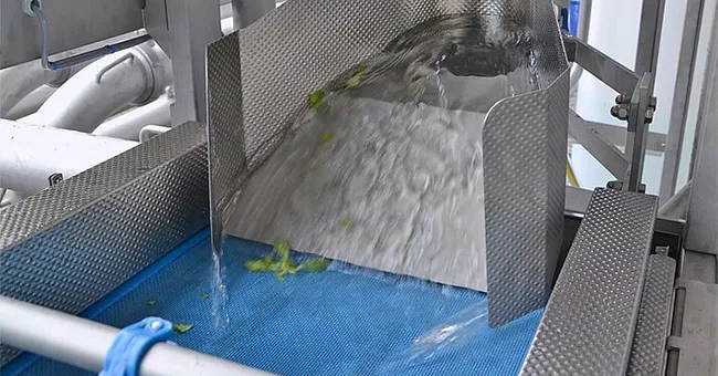 Línea de procesamiento de verduras frescas Vortex.