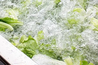 Professionelle Vortex-Gemüseverarbeitungslinie