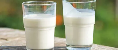 Pasteurization Production Line